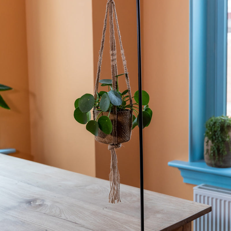 Gancho ajustable para mesa