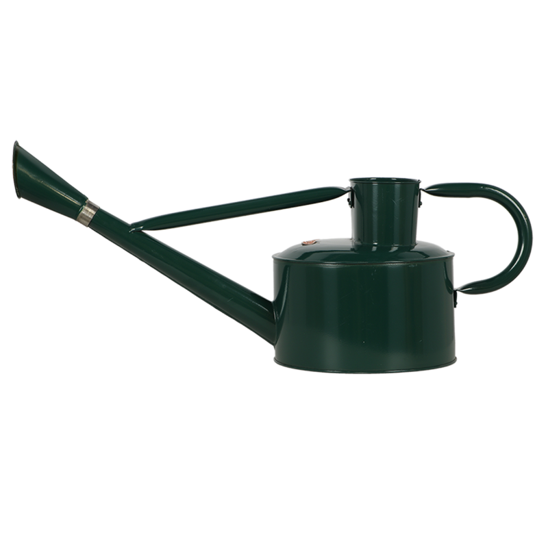 Regadera verde - 5Lt