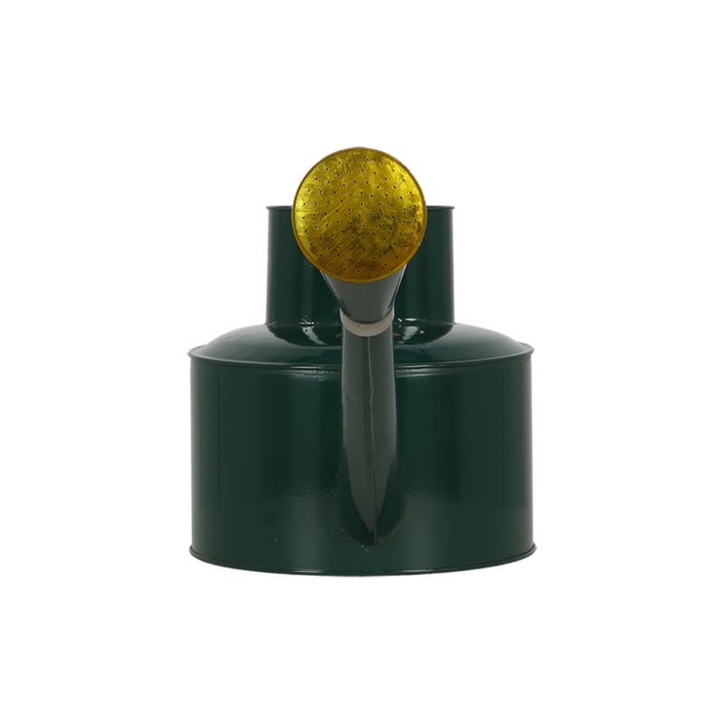 Regadera verde - 5Lt