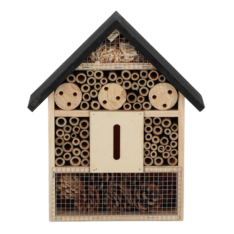 Casa básica para insectos - L