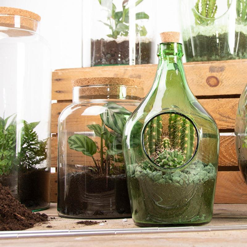 Terrario de botella semiabierta - S