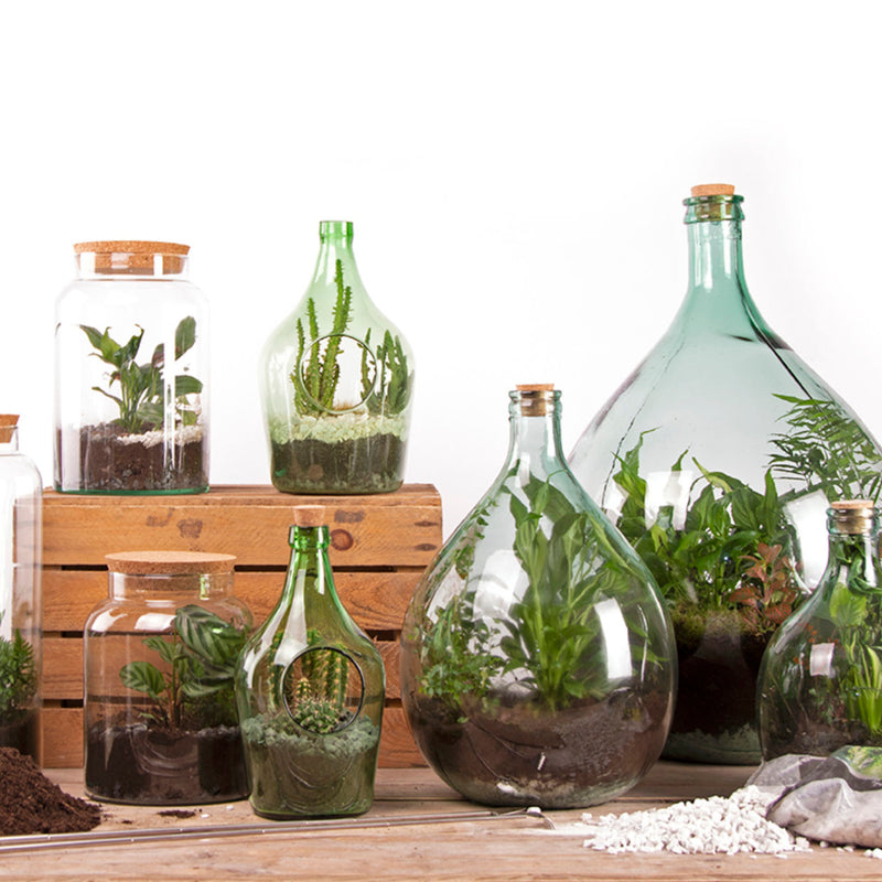 Terrario de botella semiabierta - S