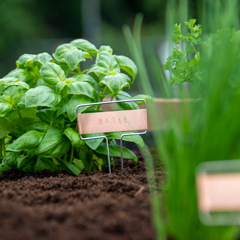 Set para estampar etiquetas de plantas