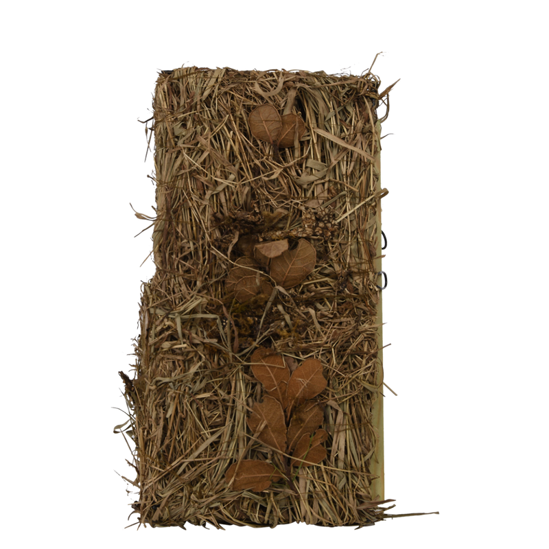Casa de Pájaro - Camuflaje